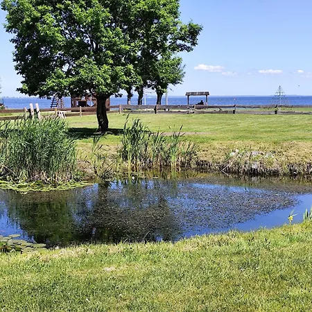 Bungalow, Altwarp , Meerblick,Hund Darf Mit Altwarp